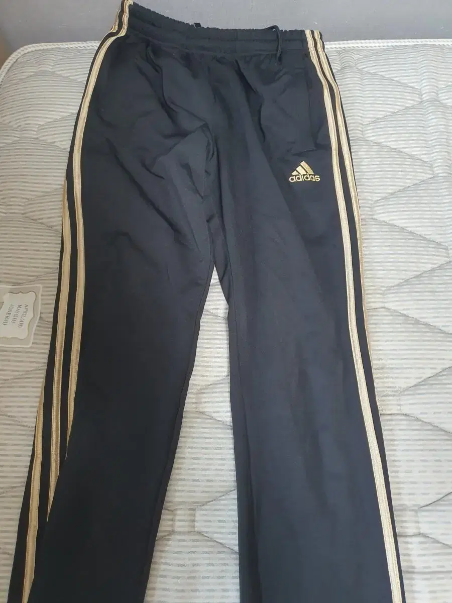 Adidas Gold Training Pants