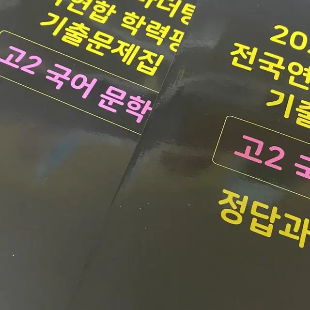 *에눌가능 마더텅 검정색 국어 고2 문학