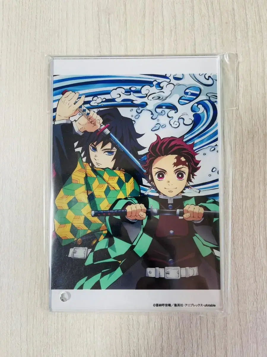 Demon Slayer Blade acrylic Plate Framed Kamado Tanjiro and Tomioka Ki Yu Unsealed