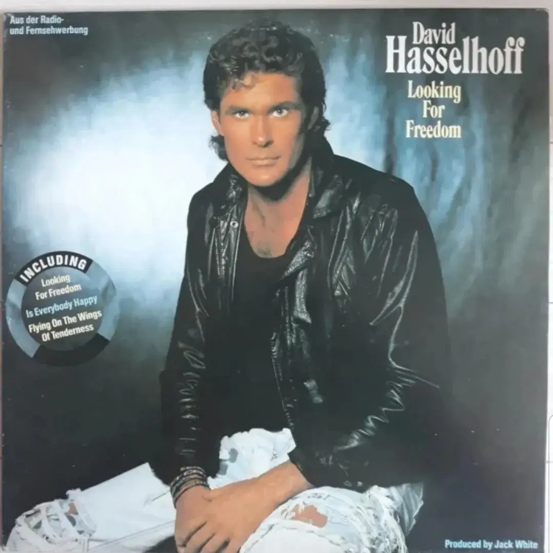 Pop 데이비드 하셀호프 David Hasselhoff 엘피 바이닐