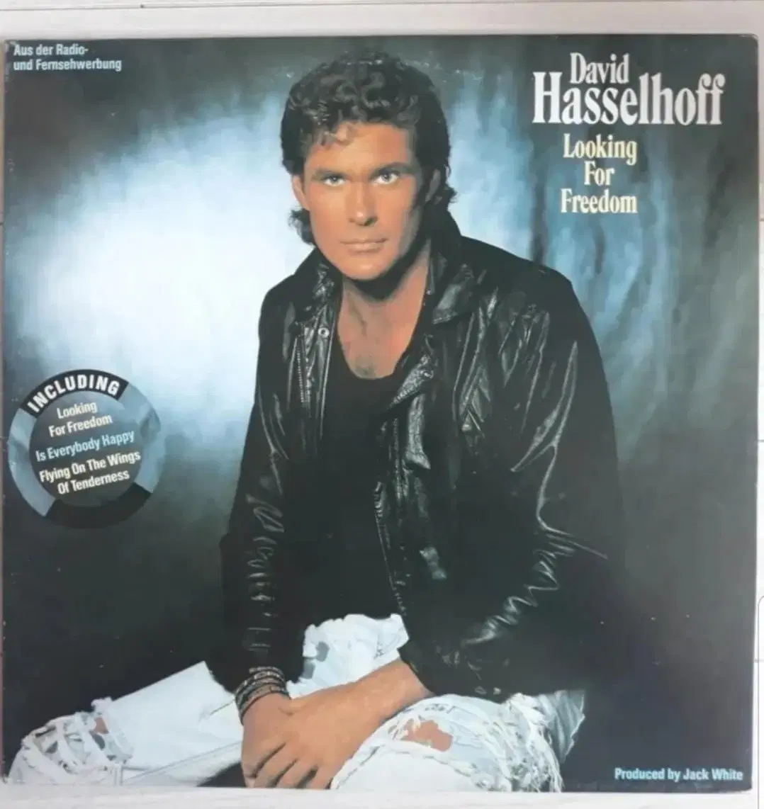 Pop 데이비드 하셀호프 David Hasselhoff 엘피 바이닐