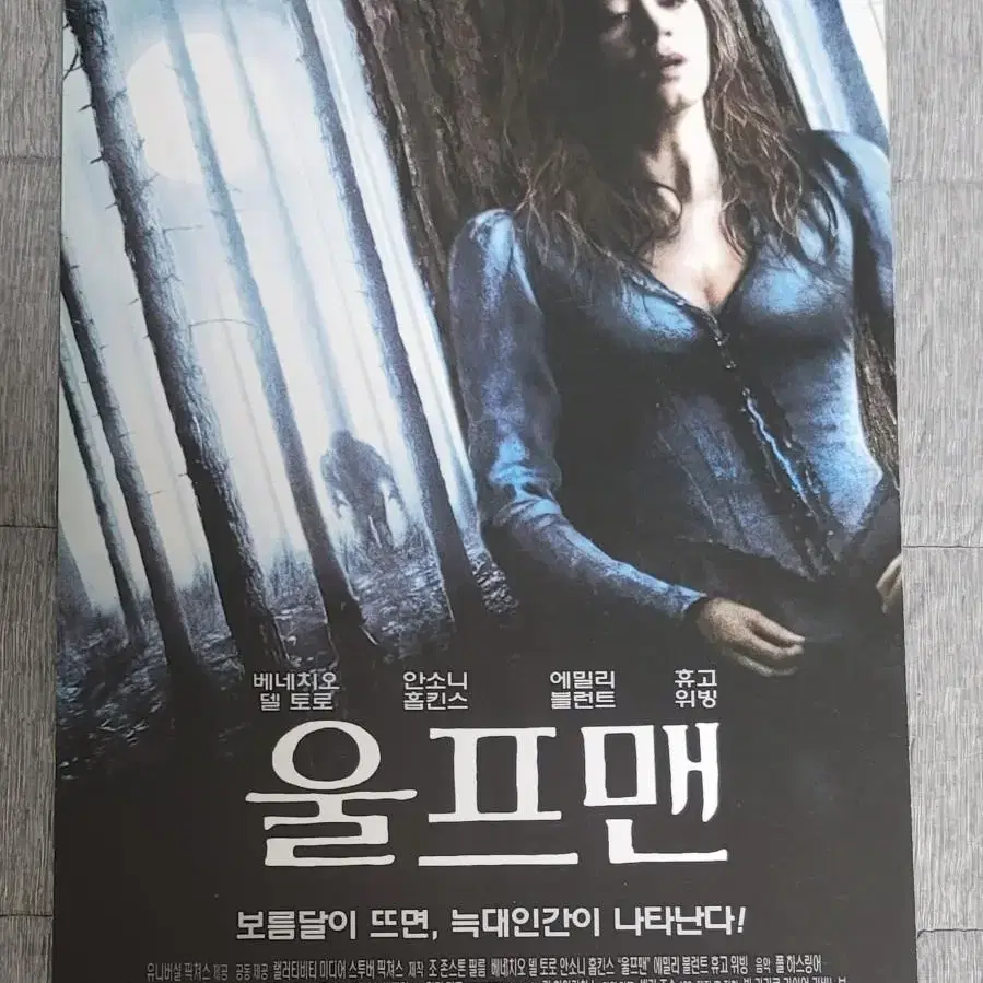 [영화팜플렛] 울프맨 전단지(2010) 베니시오델토로 에밀리블런트