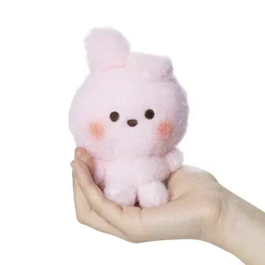 BT21일본 베이비버디 빈돌 콩인형