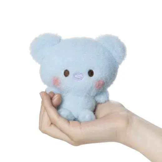 BT21일본 베이비버디 빈돌 콩인형