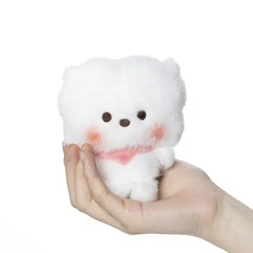 BT21일본 베이비버디 빈돌 콩인형