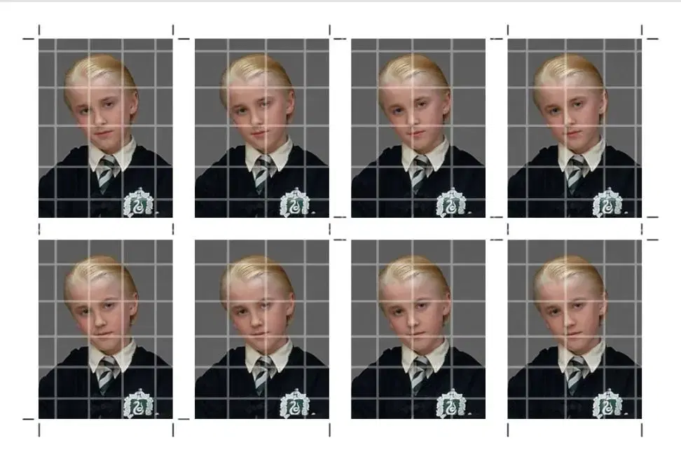 Draco Malfoy Proof Photos (4 Types)