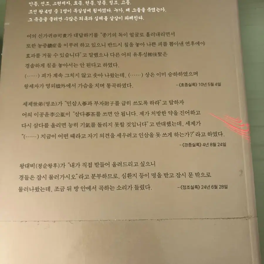 조선왕 독살사건 (추리소설 책)