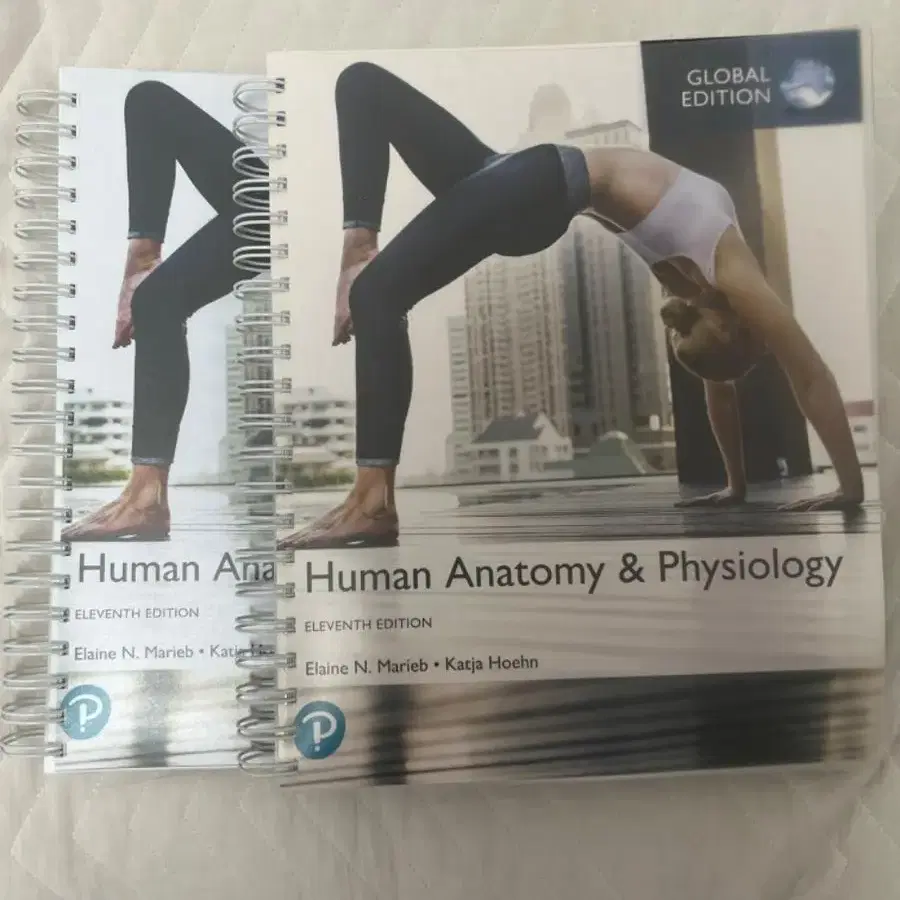 Human Anatomy & Physiology