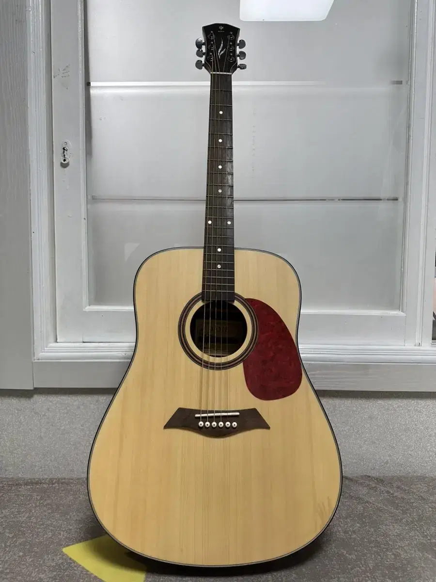 acoustic guitar