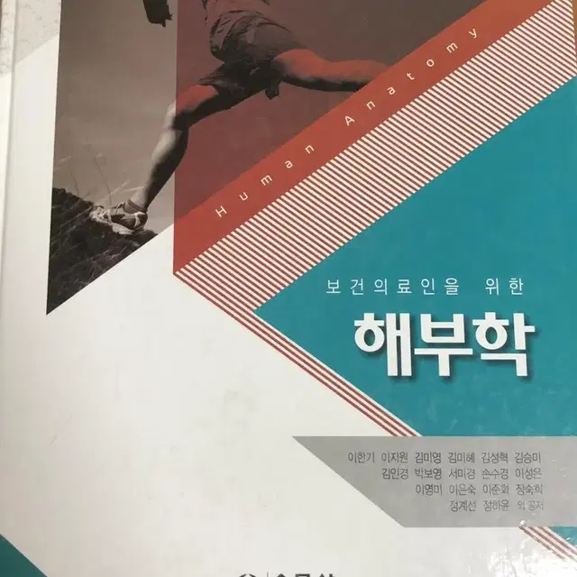 해부학 (수문사)