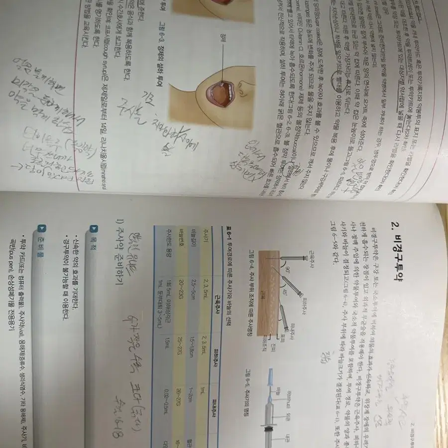 수문사 EBP 기본간호실무