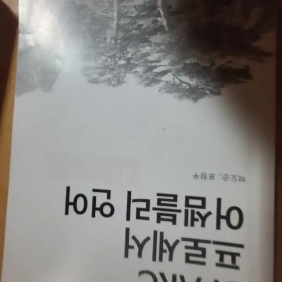 대학 코딩, c언어, 알고리즘, 파이썬, 화학, 어셈블리, 스페인어,