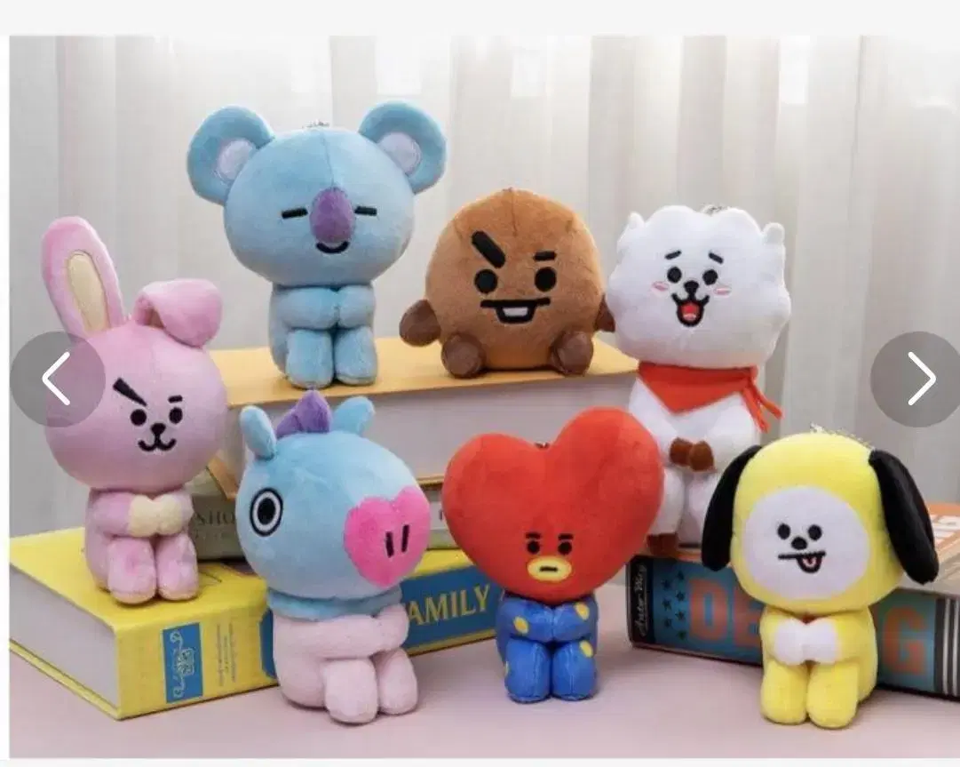 bt21 일본 대만한정 플래쉬시리즈 쿠키백참 바로배송