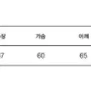 키르시 맨투맨