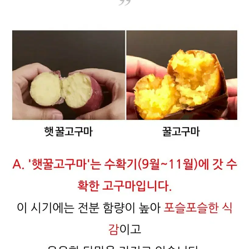 꿀고구마 한입 10키로 무료배송