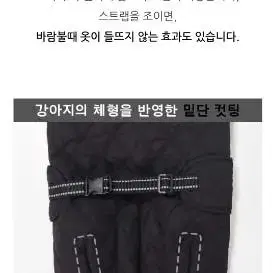 중대형견 기능성 푹신포근 패딩