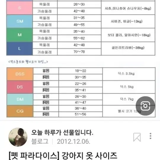 펫파라다이스 애견패딩