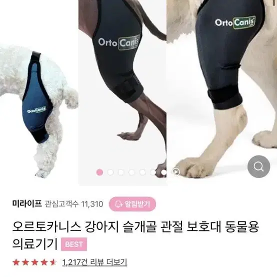 오르토카니스 강아지슬개골보호대