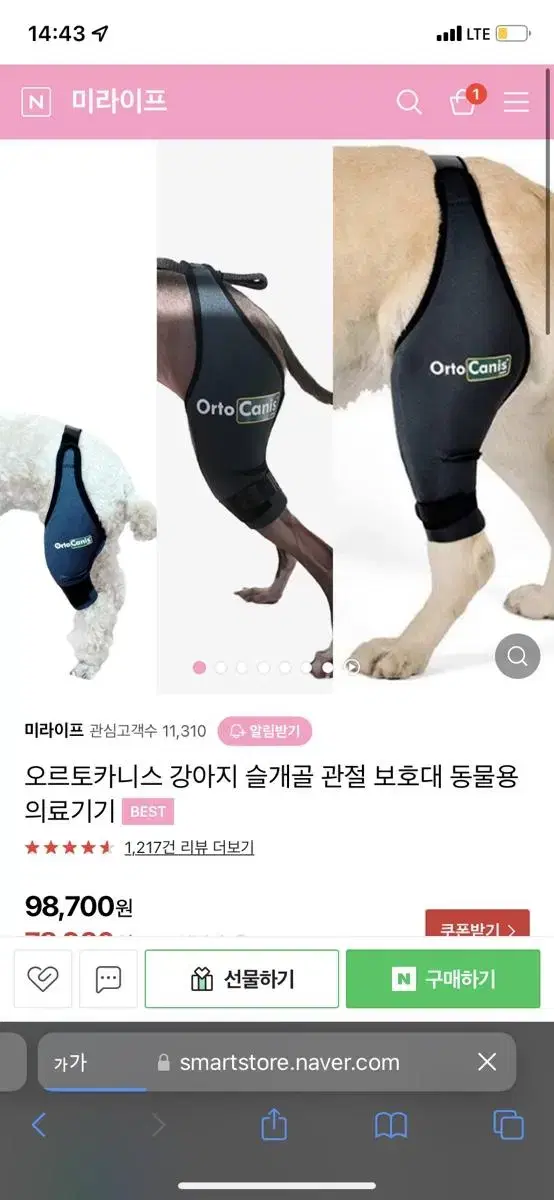 오르토카니스 강아지슬개골보호대