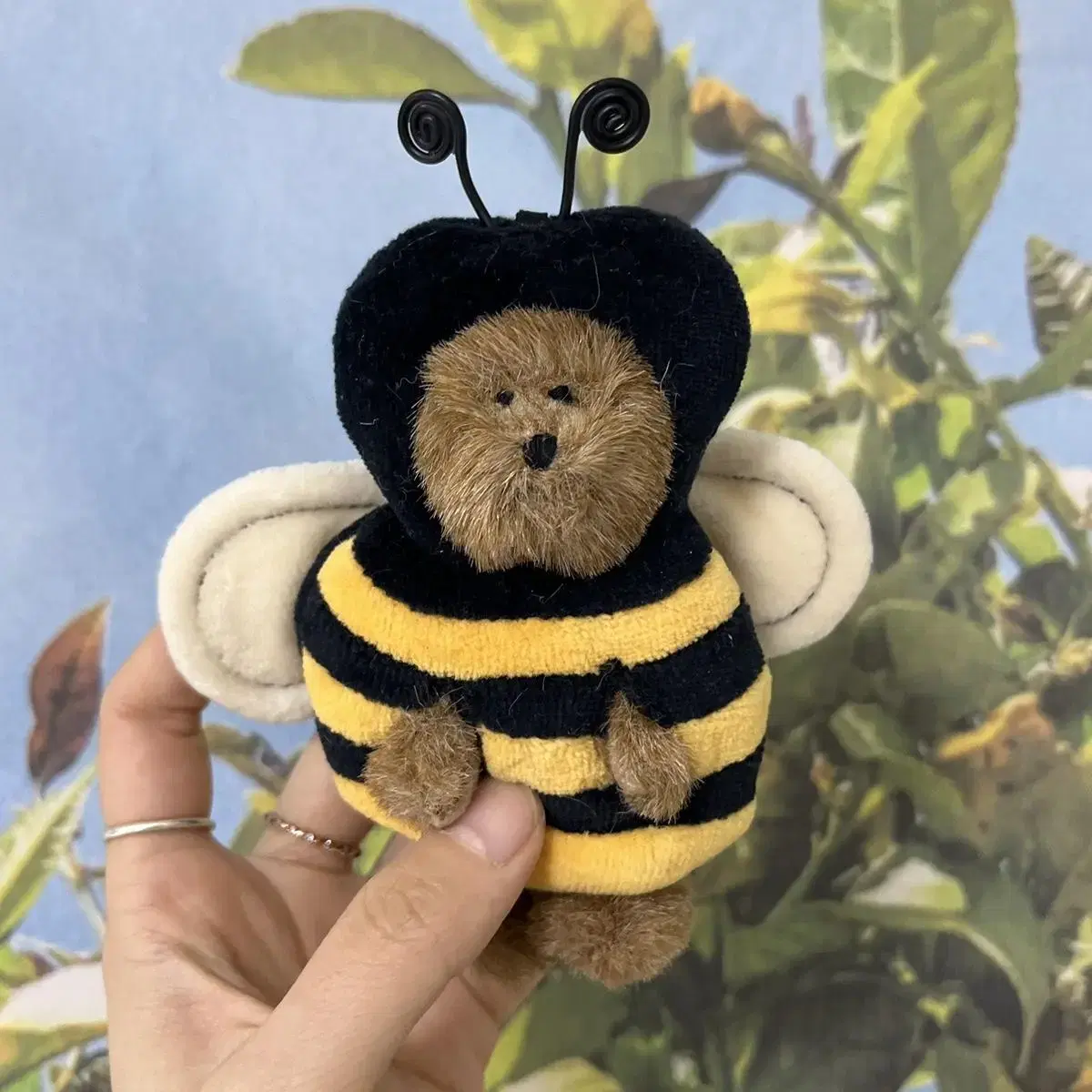 Boys Bear Little Bee