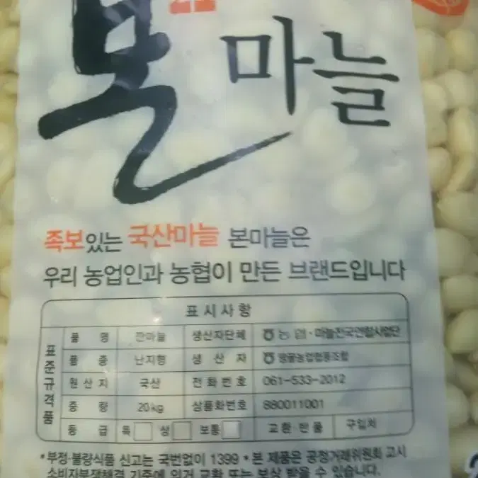 딸부자네] 백김치 1kg