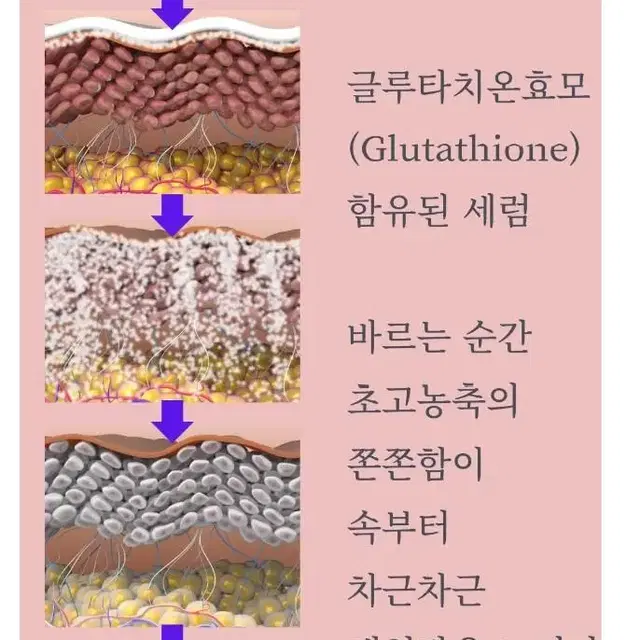 글루타치온 G2세럼-기능성화장품 미백 주름 피부탄력 개선