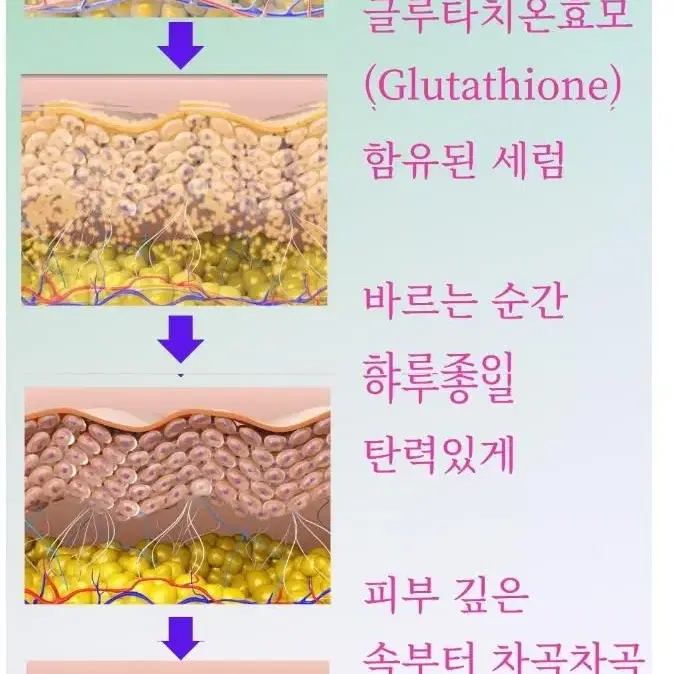 글루타치온 G3크림-기능성화장품 미백 주름 피부탄력 개선