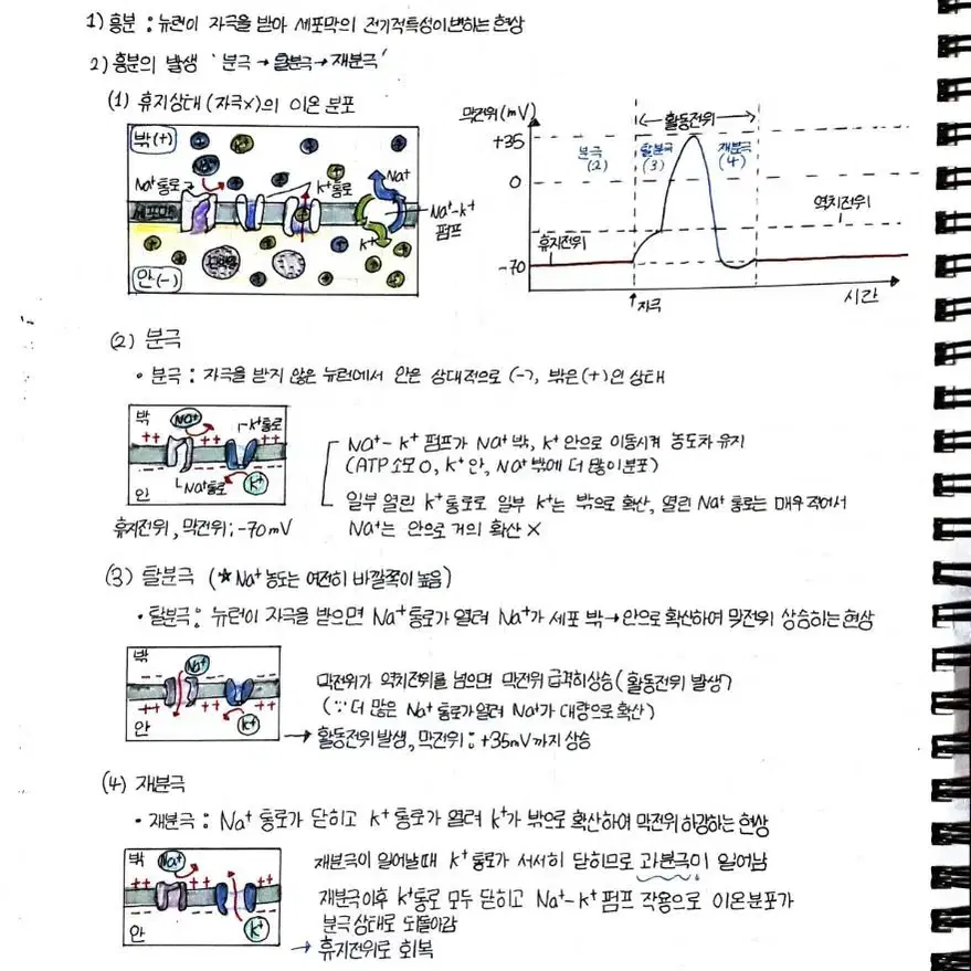 생명 전교1등 생명과학1 노트필기 1~3단원 노트정리