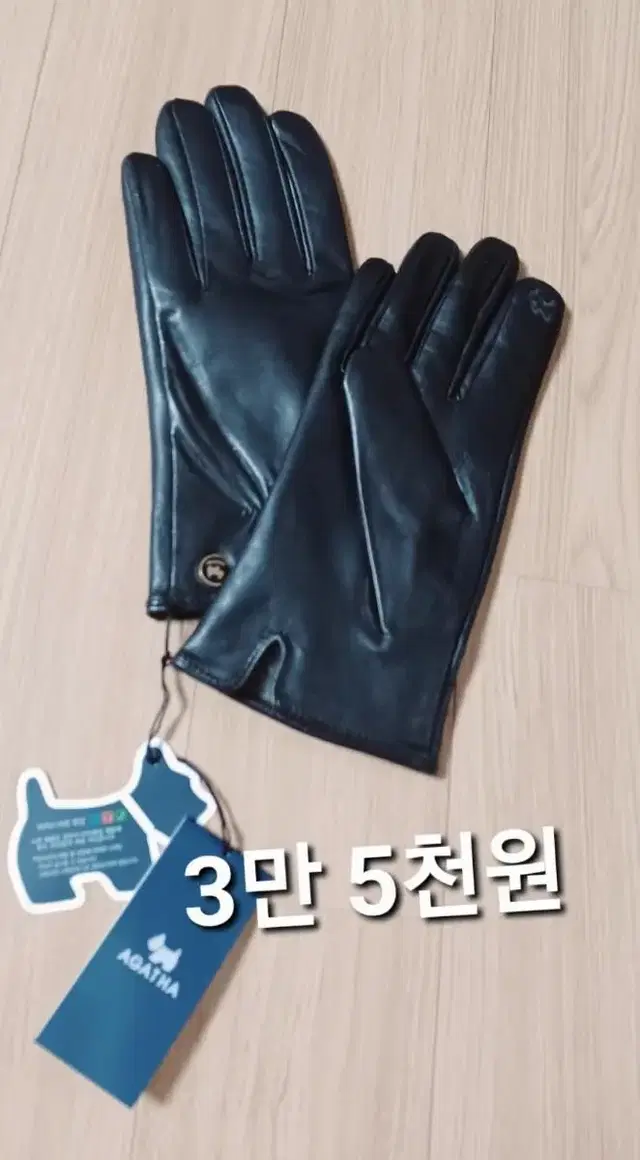 AGATHA 터치스크린 장갑