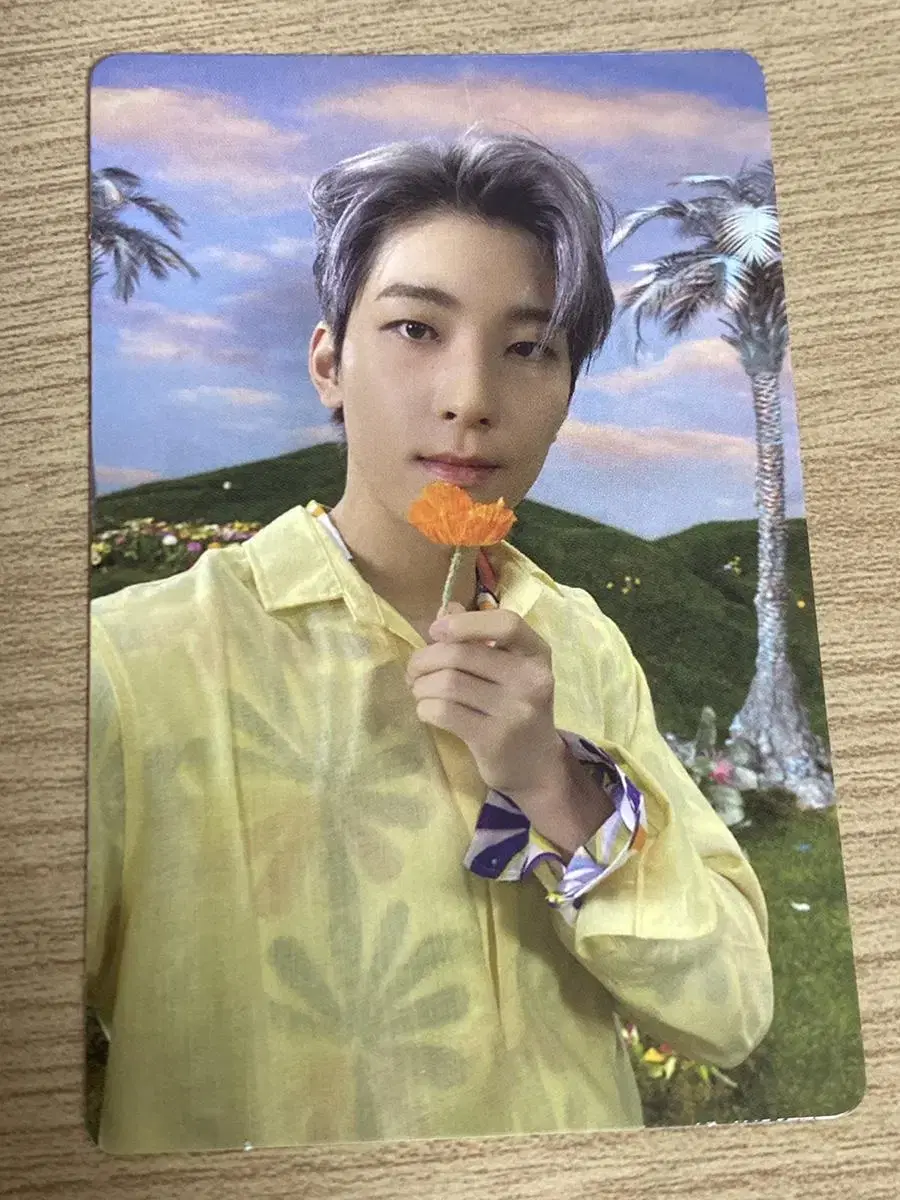 Seventeen Sector 17 wonwoo photocard WTS