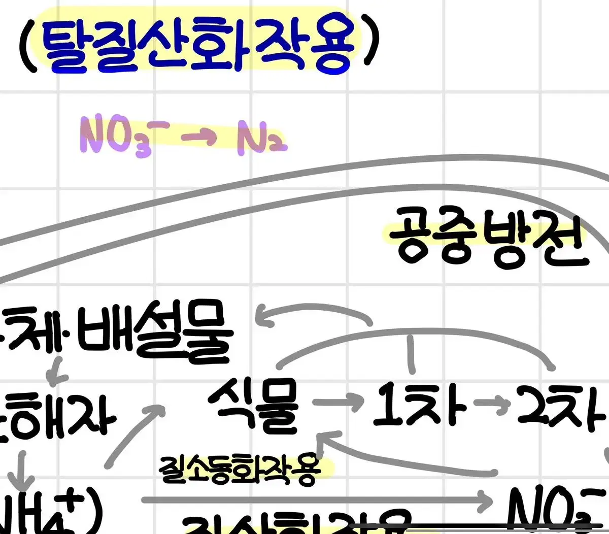 생명과학 생1 필기 5단원 생태계와 상호작용 pdf (내신&모고 1등급