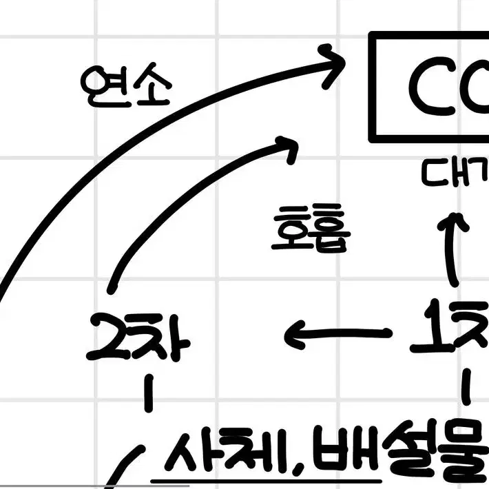 생명과학 생1 필기 5단원 생태계와 상호작용 pdf (내신&모고 1등급