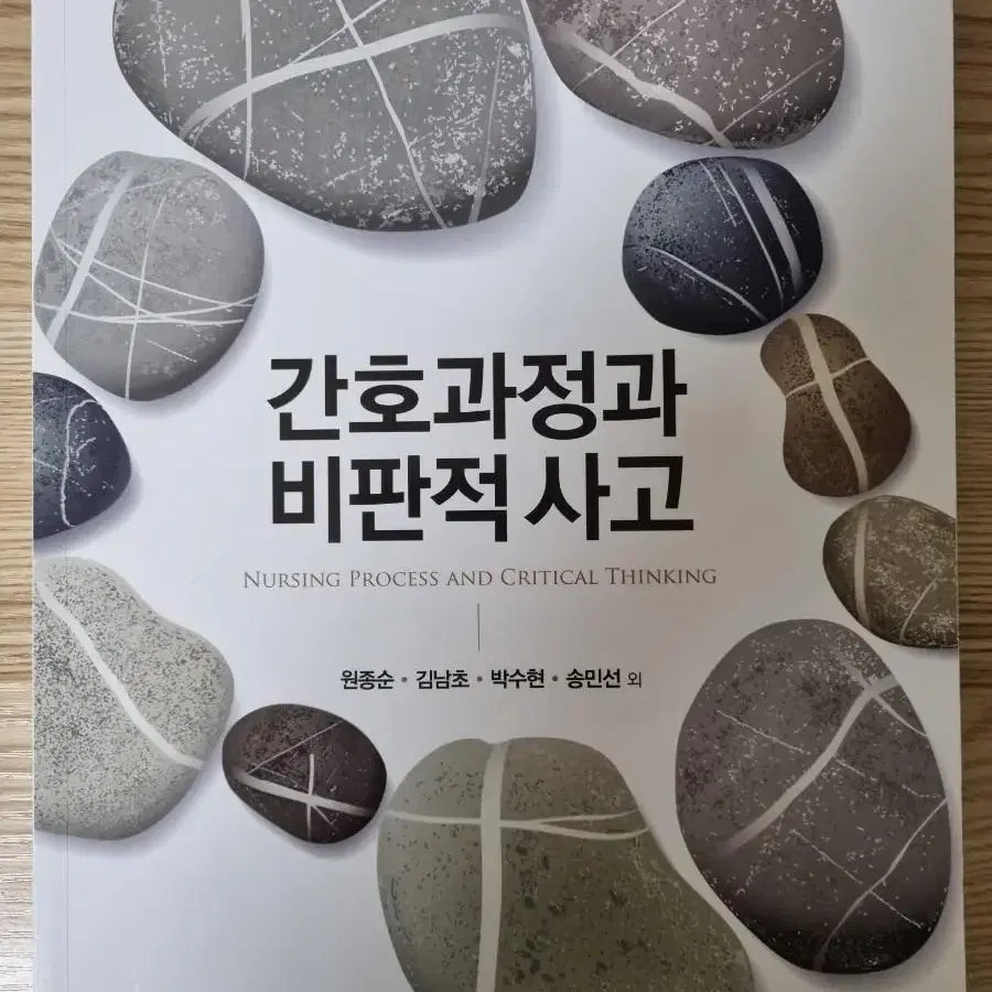 간호과정과비판적사고