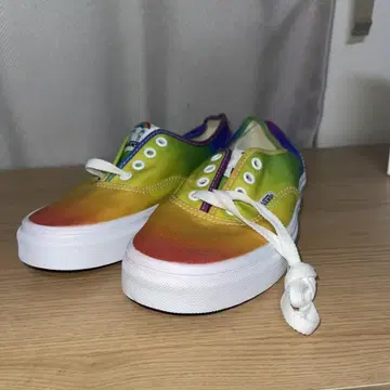Vans x Dallas Clayton RAINBOW
