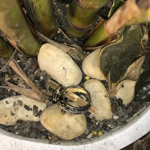 Vintage Head of a dragon toro ring