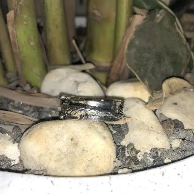 Vintage Head of a dragon toro ring