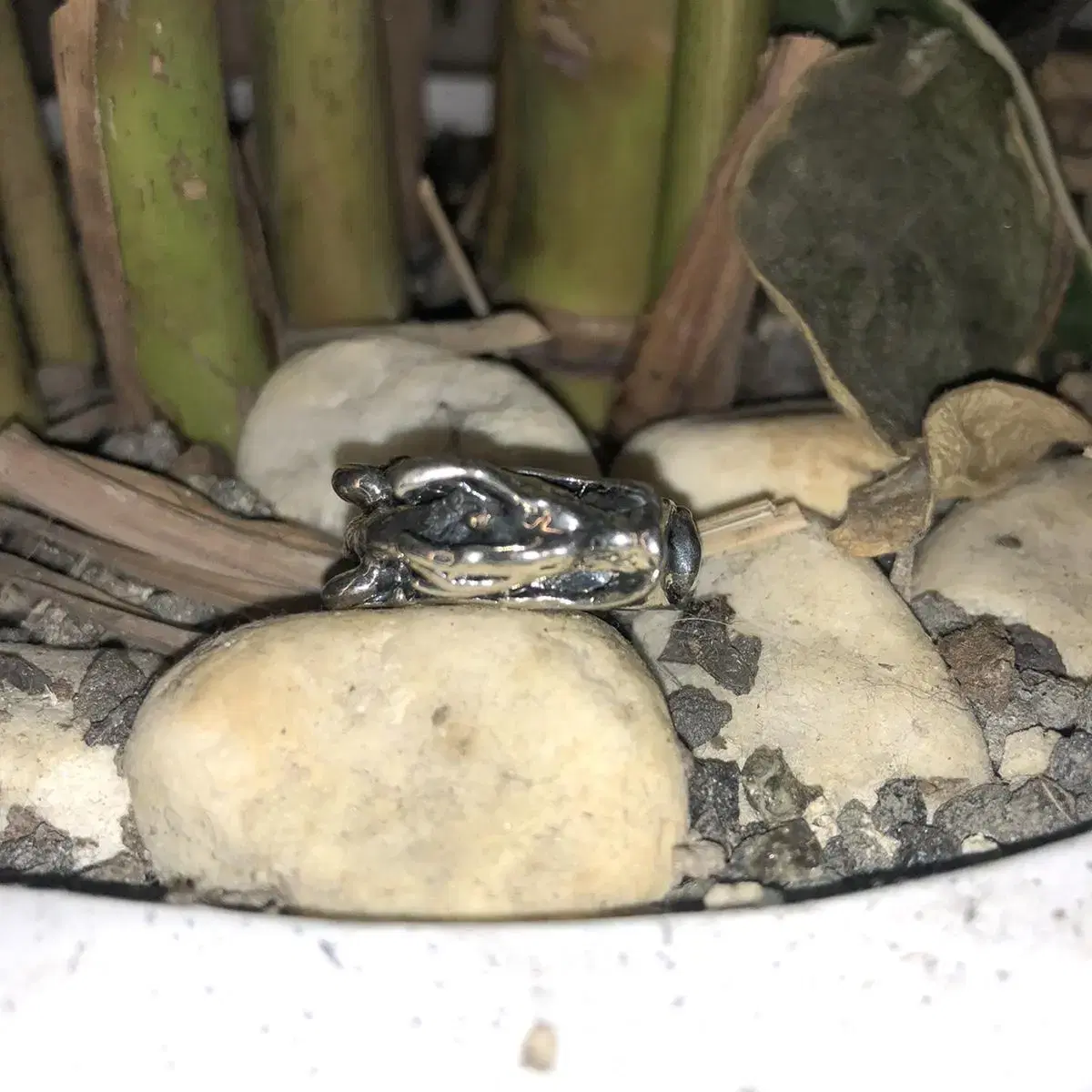 Vintage Head of a dragon toro ring