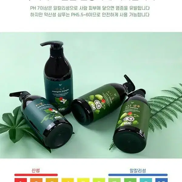 케이유씨 KUC 어성초/노니 샴푸 750ml