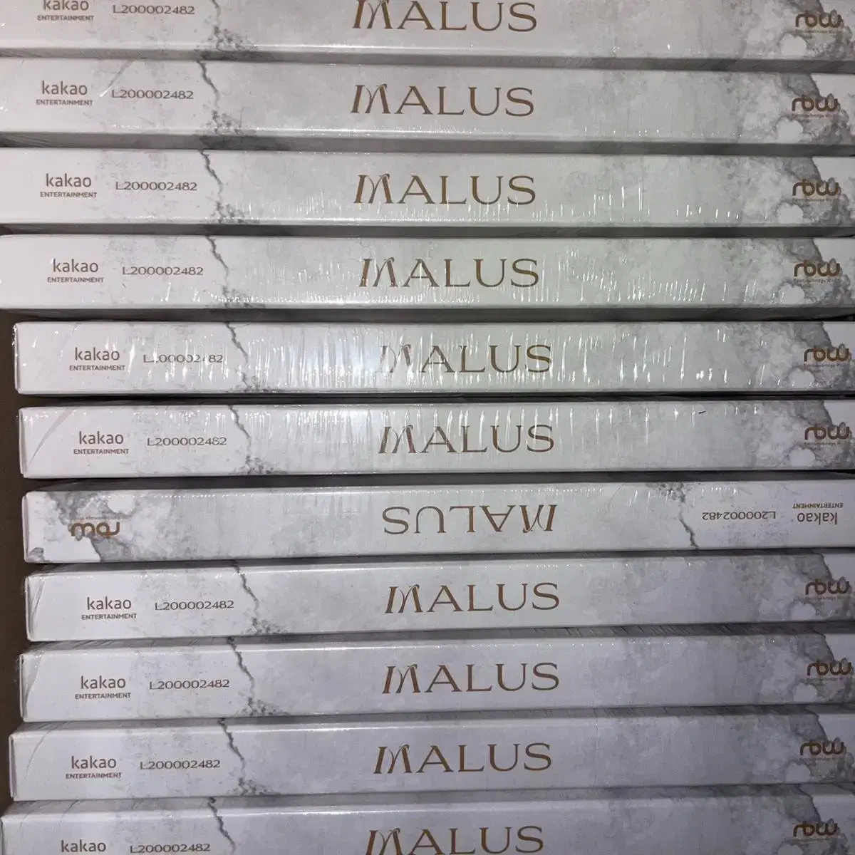 원어스(ONEUS) 말루스[MALUS] 메인 MAIN ver. 앨범&포카