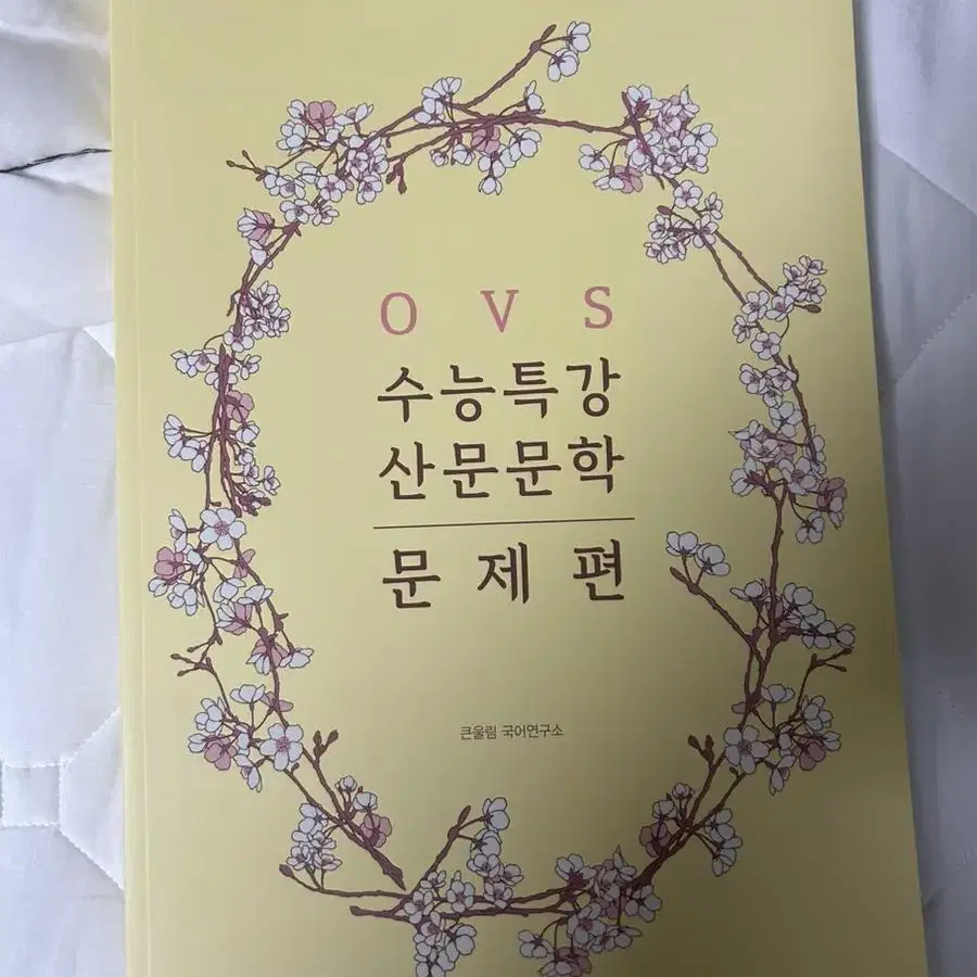 ovs 산문문학 문제편