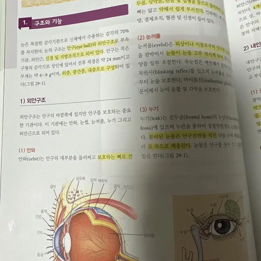 수문사 성인간호학 1권&2권 팝니다