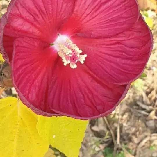 서울여상 교복 팔아요