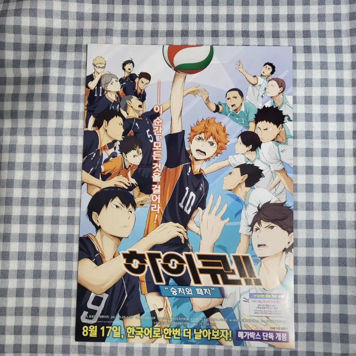 Haikyuu Winners and Losers dubbed pamphlet flyer