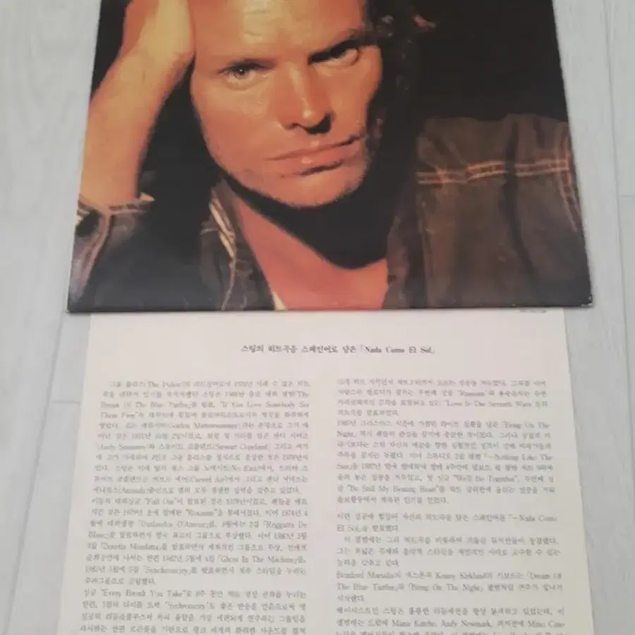 Pop 스팅 Sting 스페인어 포루투갈어 엘피 바이닐 vinyl