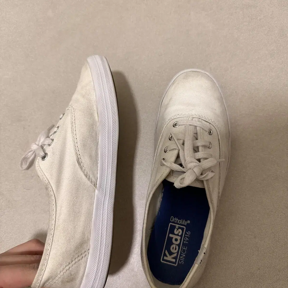 KEDS 케즈 챔피온 220사이즈 (화이트)