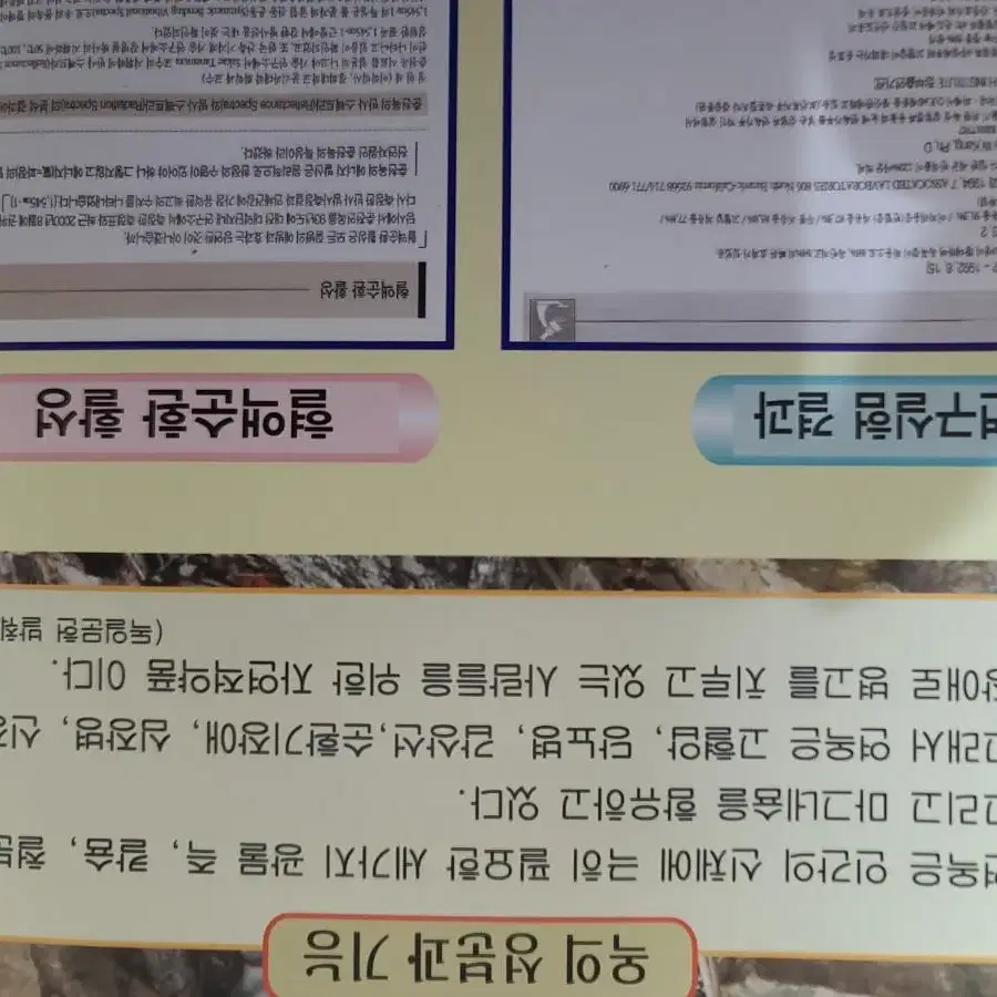 강원도춘천옥 (원석   조각)구성품17번 ㅡ2번 찜질방 욕탕  베게속등