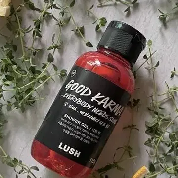 LUSH 러쉬 카마 바디워시 젤 550G | 브랜드 중고거래 플랫폼, 번개장터 Lush 러쉬 카마 바디워시 젤 550G | 브랜드 중고거래 플랫폼, 번개장터
