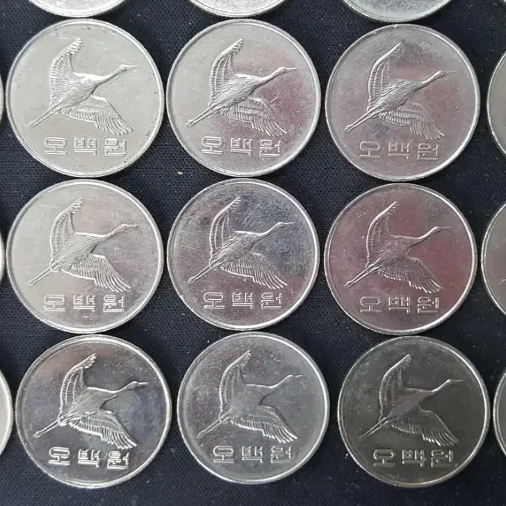 2014년 500주 사용제 주화(동전) 50개 일괄