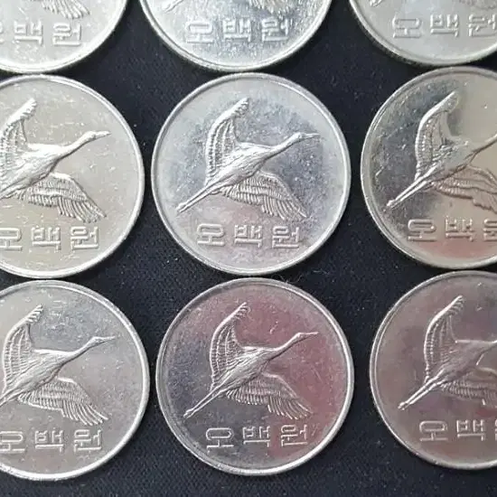 2014년 500주 사용제 주화(동전) 50개 일괄