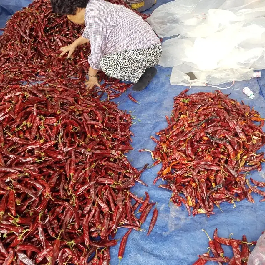 [판매중]100%국내산 고추가루(10근=6kg) 판매합니다. (무료배송)